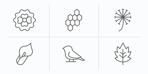 nature outline icons set. thin line icons such as dianthus, hive, dandelion, calla, bird, hawthorn vector.