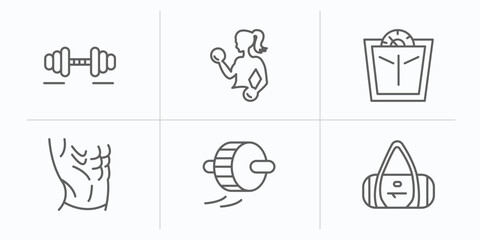 gymandfitness outline icons set. thin line icons such as workout, fitness, scale, press, roller, sport bag vector.