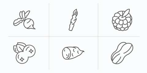 fruits and vegetables outline icons set. thin line icons such as radish, asparagus, raspberry, blueberry, sweet potato, peanut vector.