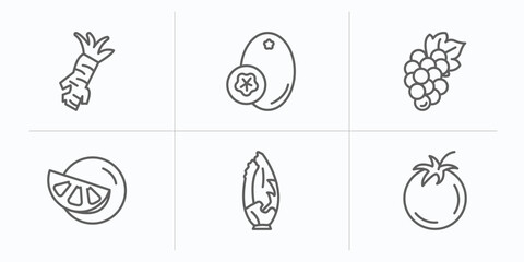 fruits and vegetables outline icons set. thin line icons such as horseradish, breast milk fruit, grape, grapefruit, lettuce, tomato vector.