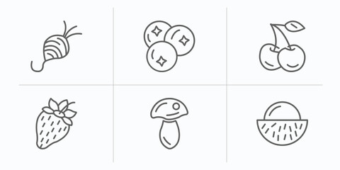 fruits and vegetables outline icons set. thin line icons such as tuber, blueberries, cherry, strawberry, mushroom, rambutan vector.