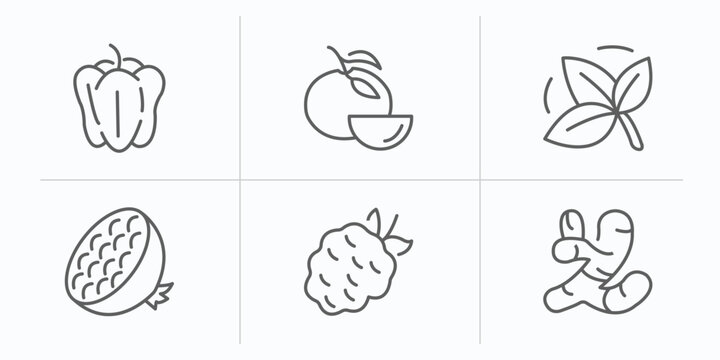 fruits and vegetables outline icons set. thin line icons such as bell pepper, tangerine, basil, pomegranate, blackberry, ginger vector.