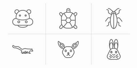 animals outline icons set. thin line icons such as hippo, tortoise, cockroach, mongoose, jerboa, hare vector. © IconArt