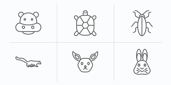 animals outline icons set. thin line icons such as hippo, tortoise, cockroach, mongoose, jerboa, hare vector.