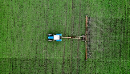 Soil loosening in a field with agricultural crops, aerial view. The tractor processes the soil with...