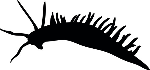 Black silhouette of aeolid nudibranch isolated on white background