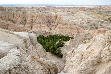 Desert oasis of green trees in a canyon of Badlands National Park South Dakota.