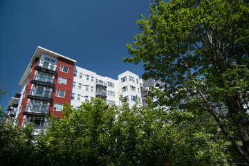 Fototapeta na wymiar Large maple trees framing new apartment buildings in Redmond town center - 2