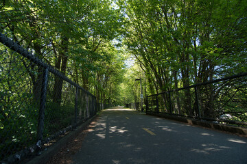 Empty  Redmond Central Connector trail  on a summer afternoon
