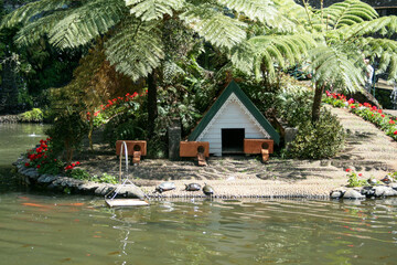 Madeira April 2023
Pico Areeiro
Pico Ruivo
Ponta de São Lourenço
Tropical Garden
25 Fontes