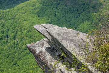 pickens nose NC