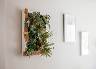 Close-up of framed herbarium composition hanging on a white wall on the background of blurry framed pictures in a Scandinavian style interior. Concept of fashionable accents in interior design