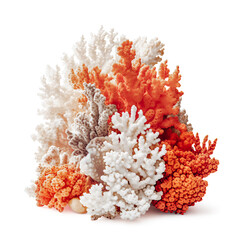 various colorful red and white corals isolated over a transparent background, cut-out reef, ocean / sea, eco system or interior design element, generative AI
