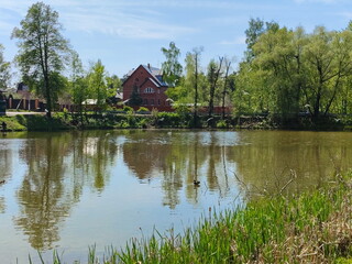 Obraz premium Rural pond