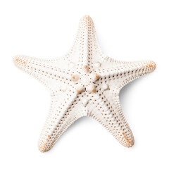 white starfish / sea star isolated over a transparent background, cut-out ocean, beach, summer and vacation design element, generative AI