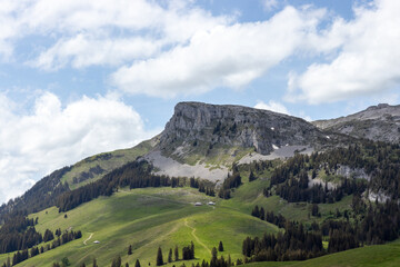 Swiss alpine mountain landscape with lush green grass and beautiful nature.