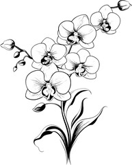 Orchid Flower Line Art Vol.3