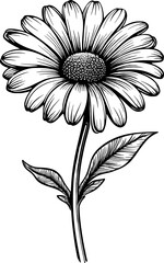 Flower Line Art Vol.5