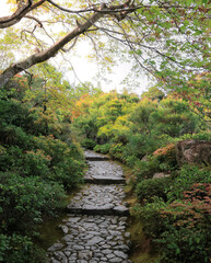 path in Ōkōchi Sansō garden