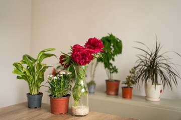 Nice flower arrangement and flower pots.