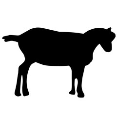 Goat Vector Silhouette