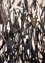 Conceptual image of charred pieces of wood floating in the air