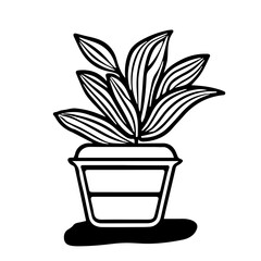 Black outline hand drawing vector illustration of a decorative plant Dieffenbachia in a pot isolated on a white background