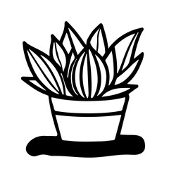 Black outline hand drawing vector illustration of a decorative plant Dieffenbachia in a pot isolated on a white background