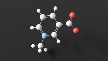 trigonelline molecule, molecular structure, zwitterion, ball and stick 3d model, structural chemical formula with colored atoms