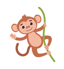 Cute safari monkey