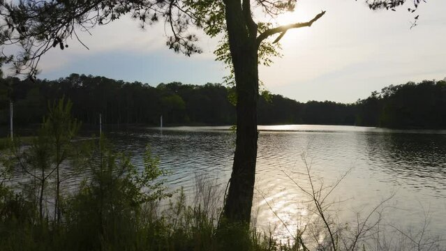 footage of a gorgeous spring landscape at Proctor Landing Park at sunset with rippling water surrounded by lush green trees and plants at Lake Acworth in Acworth Georgia USA