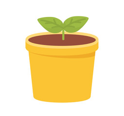 Plant in pot concept