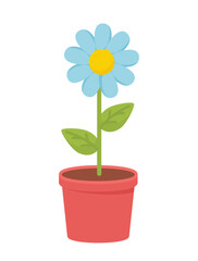 Flower in pot concept