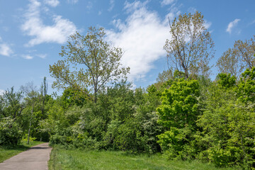 Fototapeta na wymiar Spring view of South Park in city of Sofia, Bulgaria