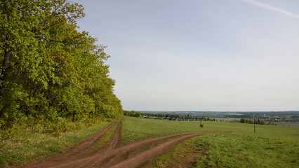 road in the field