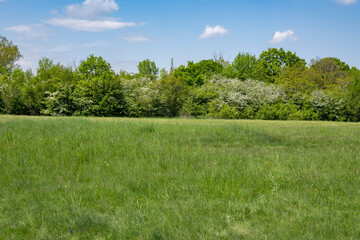 Spring view of South Park in city of Sofia, Bulgaria