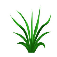 lush bushes watercolor digital painting illustration