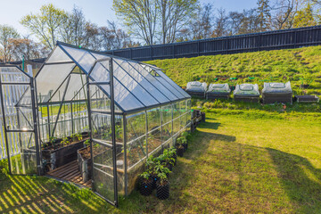 Naklejka premium Beautiful view of private garden with planted tomato seedlings in greenhouse. Sweden.