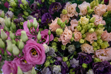 Colorful bouquet of flowers ustoma lisianthus or prairie gentian, growing in Dutch greenhouse, flora of the Netherlands, flowers background