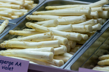 First Dutch white washed asparagus for sale on farm in North Brabant, english translation - violet...