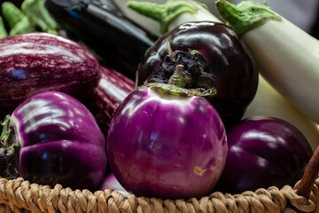 Variety of eggplant vegetables, white, graffiti, purple, round eggplant Violet