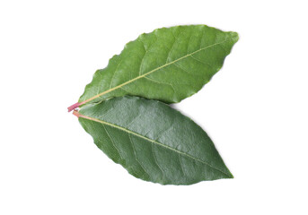 Fototapeta premium Fresh bay leaves isolated on white, top view