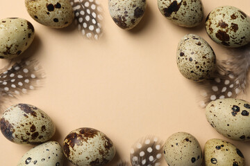 Frame made of speckled quail eggs and bird feathers on beige background, flat lay. Space for text
