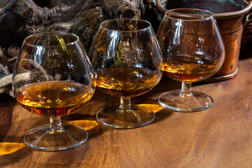 Tasting of aged french cognac brandy alcoholic drink in old cellars of cognac-producing regions Champagne or Bois, France