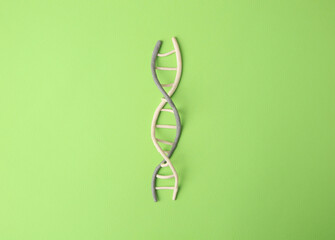 Plasticine model of DNA molecular chain on green background, top view