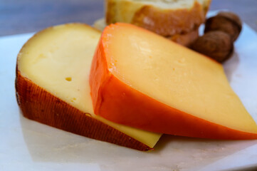 Cheese collection, tasty Belgian abbey cheeses made with brown trappist beer