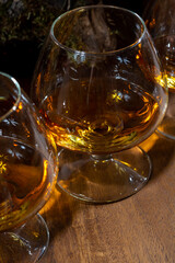 Tasting of aged french cognac brandy alcoholic drink in old cellars of cognac-producing regions Champagne or Bois, France