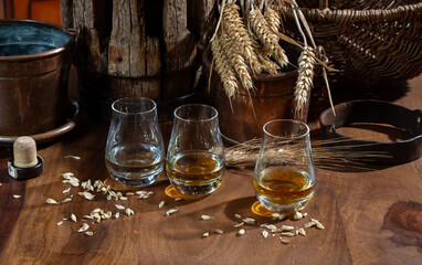 Speyside scotch whisky tasting on old dark wooden vintage table with barley grains close up