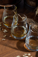 Speyside scotch whisky tasting on old dark wooden vintage table with barley grains close up