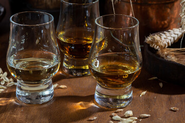 Small tasting glasses with aged Scotch whisky on old dark wooden vintage table with barley grains